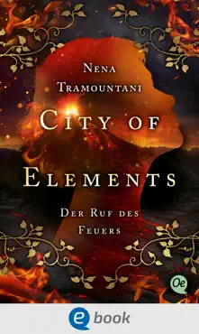 city of elements 4. der ruf des feuers book cover image