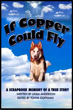 if copper could fly a true story book cover image