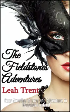 the fieldstones adventures book cover image