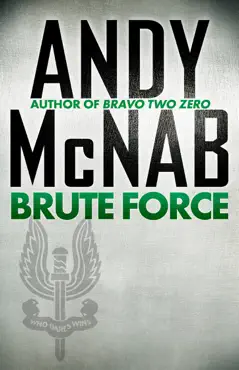 brute force book cover image