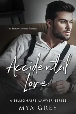 accidental love (book 1) : an enemies-to-lovers romance book cover image