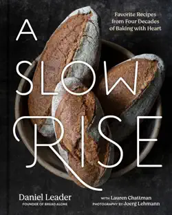 a slow rise book cover image