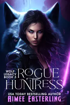 rogue huntress book cover image