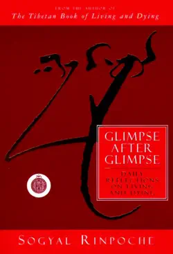 glimpse after glimpse book cover image