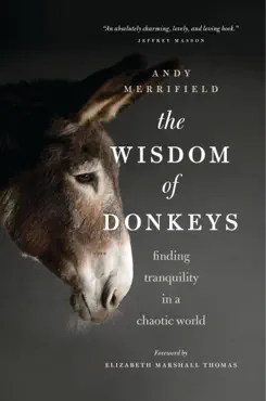the wisdom of donkeys book cover image