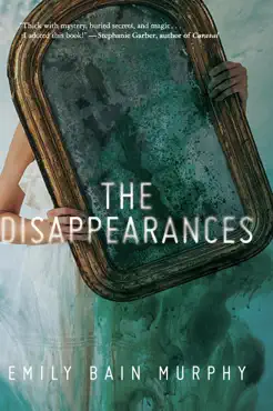 the disappearances book cover image