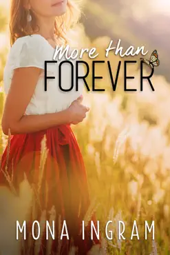 more than forever book cover image