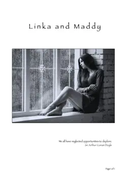 linka and maddy book cover image