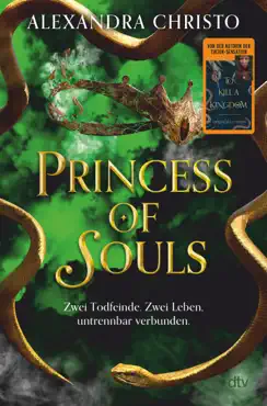 princess of souls imagen de la portada del libro