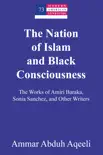 The Nation of Islam and Black Consciousness synopsis, comments