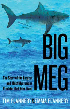 big meg book cover image