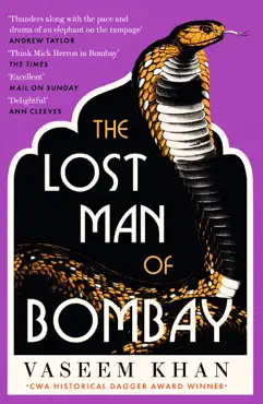 the lost man of bombay book cover image