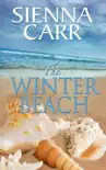 The Winter Beach synopsis, comments