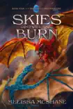 Skies Will Burn synopsis, comments