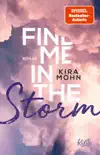 Find me in the Storm synopsis, comments
