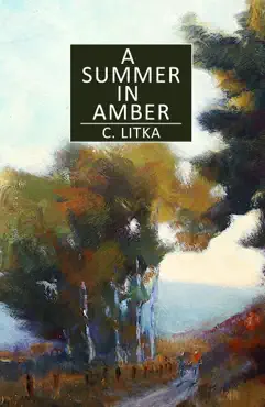 a summer in amber book cover image
