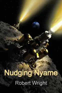 nudging nyame book cover image