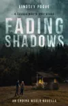 Fading Shadows synopsis, comments