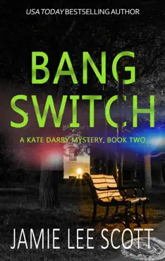 bang switch book cover image