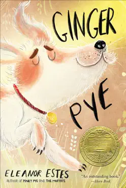 ginger pye book cover image