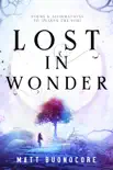 Lost In Wonder synopsis, comments