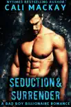 Seduction and Surrender synopsis, comments
