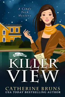 killer view book cover image