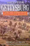 Voices from Gettysburg synopsis, comments