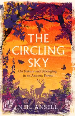 the circling sky book cover image
