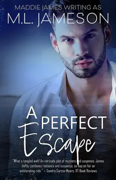 a perfect escape book cover image
