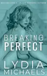 Breaking Perfect book summary, reviews and download