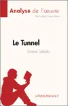 Le Tunnel de Ernesto Sábato (Analyse de l'œuvre) sinopsis y comentarios