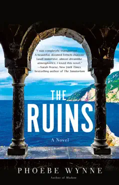 the ruins book cover image