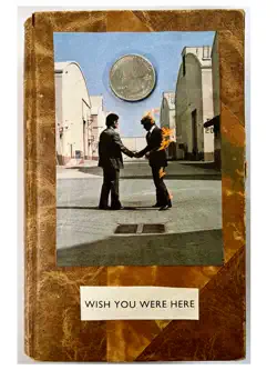 wish you were here book cover image