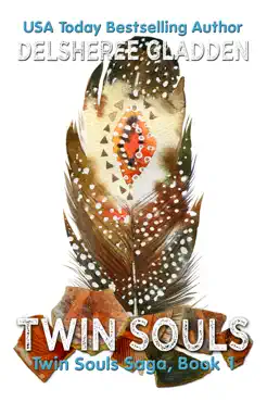twin souls book cover image