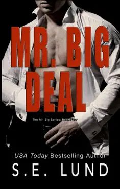 mr. big deal imagen de la portada del libro