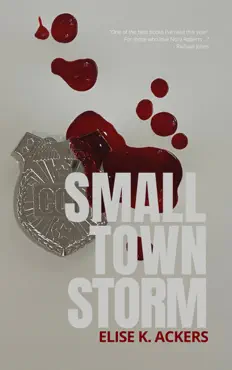 small town storm imagen de la portada del libro