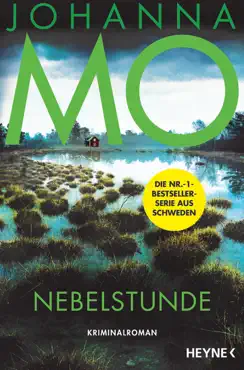 nebelstunde book cover image
