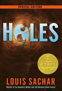 holes book cover image