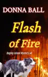Flash of Fire synopsis, comments