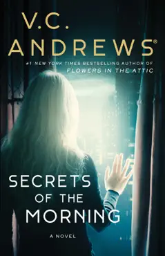 secrets of the morning book cover image