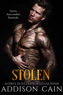 stolen book cover image