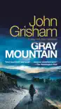 Gray Mountain synopsis, comments