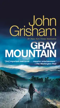 gray mountain book cover image