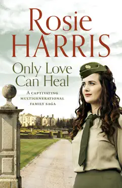 only love can heal book cover image