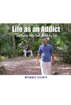 life as an addict imagen de la portada del libro