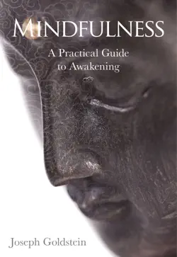 mindfulness book cover image