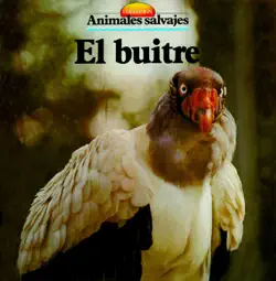 el buitre book cover image