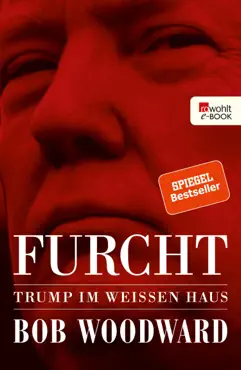 furcht book cover image