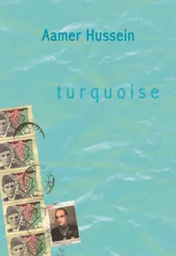 turquoise book cover image